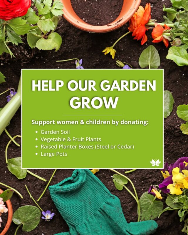 Our garden is more than just plants — it's a space for healing, growth, and community.We're looking for donations of garden soil, veggie & fruit starter plants, raised planter boxes (steel or cedar), and large pots.If you or someone you know can help, please reach out! 🌱💜#GrowWithDixon #HealingGarden #GardenForGood #CommunityGarden #SupportLocalNonprofits #DonatePlants #DixonTransitionSociety #Dixon #GardenDonations #RaisedGardenBeds #PlantHope #VeggieGarden #FruitPlants #NonprofitSupport #BurnabyCommunity #VancouverNonprofit #WomenSupportingWomen #GrowTogether #GiveBackWithGardening